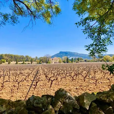 Au Coeur De * Cassis